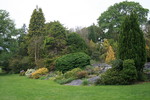 Muckross Garden 1